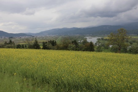 f:id:lupoGTI:20180504164029j:image