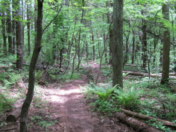 f:id:lupoGTI:20180506172959j:image