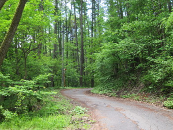 f:id:lupoGTI:20180506173010j:image