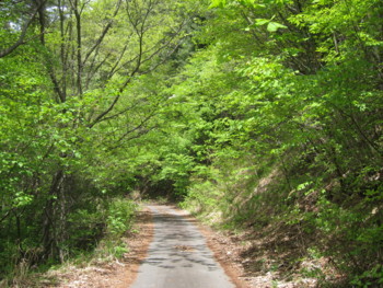 f:id:lupoGTI:20180506174149j:image