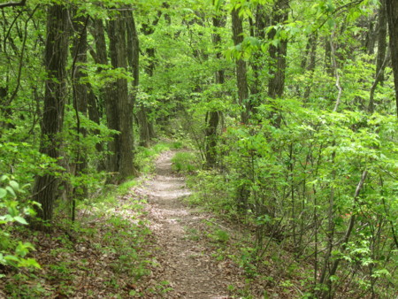 f:id:lupoGTI:20180506174837j:image