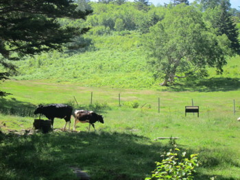 f:id:lupoGTI:20180714153002j:image f:id:lupoGTI:20180714153002j:image