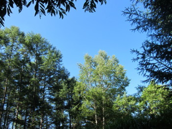 f:id:lupoGTI:20180714153019j:image f:id:lupoGTI:20180714153019j:image