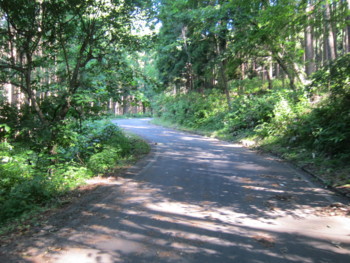 f:id:lupoGTI:20180714153028j:image f:id:lupoGTI:20180714153028j:image