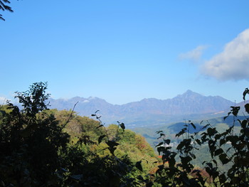 f:id:lupoGTI:20181021165553j:image