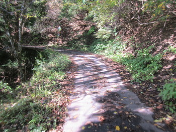 f:id:lupoGTI:20181021165604j:image