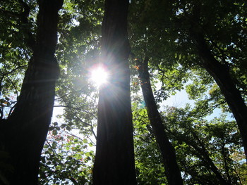 f:id:lupoGTI:20181021170741j:image