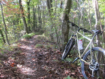 f:id:lupoGTI:20181021170751j:image