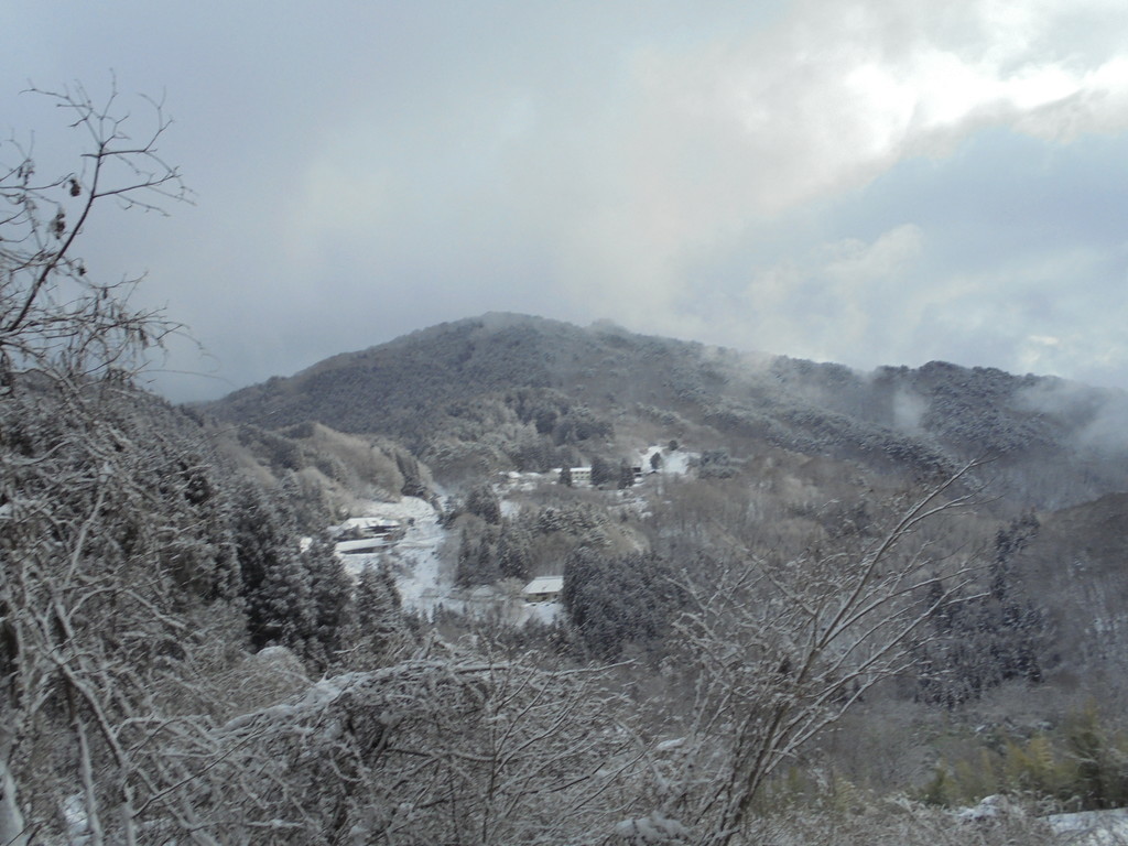 f:id:lupoGTI:20190126144328j:plain