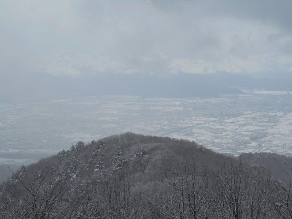 f:id:lupoGTI:20190126145053j:plain