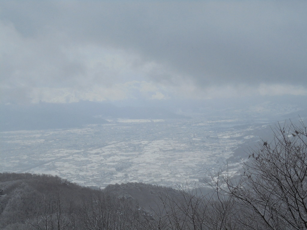 f:id:lupoGTI:20190126145058j:plain