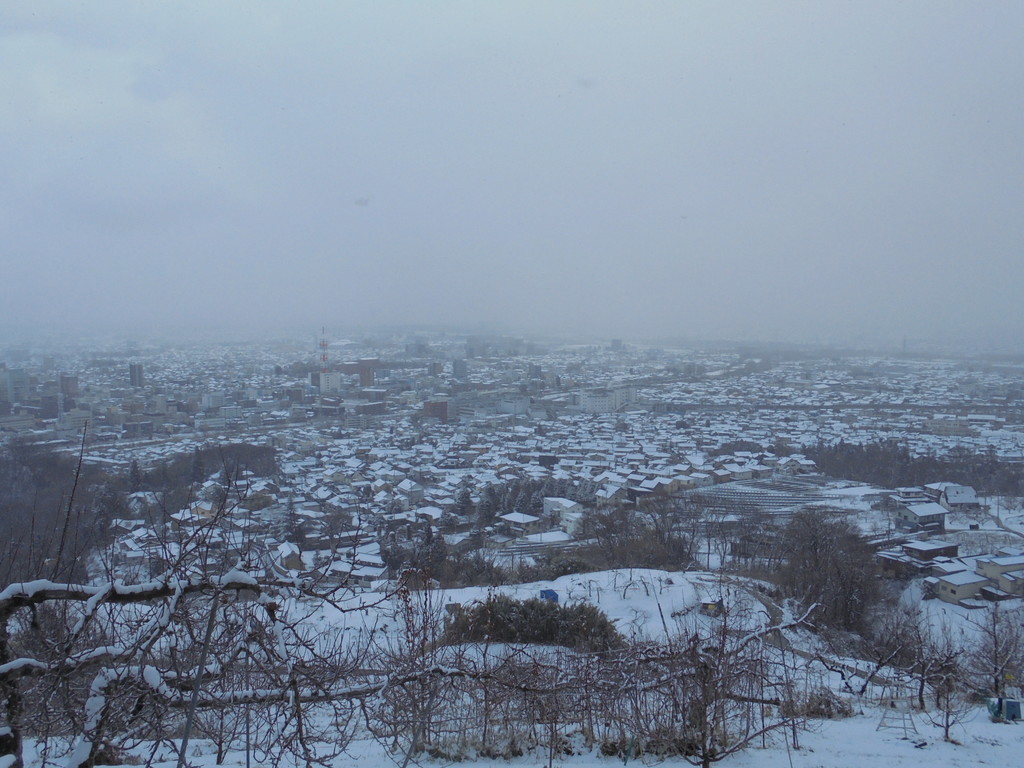 f:id:lupoGTI:20190126145508j:plain
