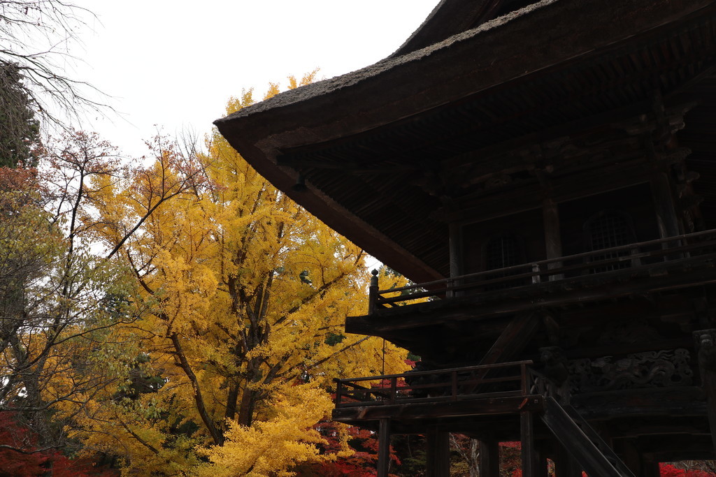 f:id:lupoGTI:20190211112703j:plain