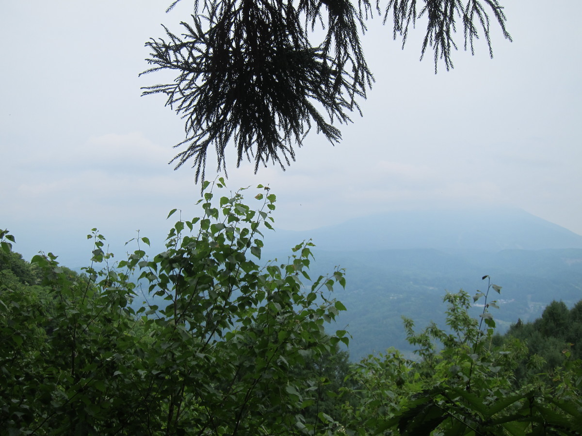 f:id:lupoGTI:20190602153844j:plain