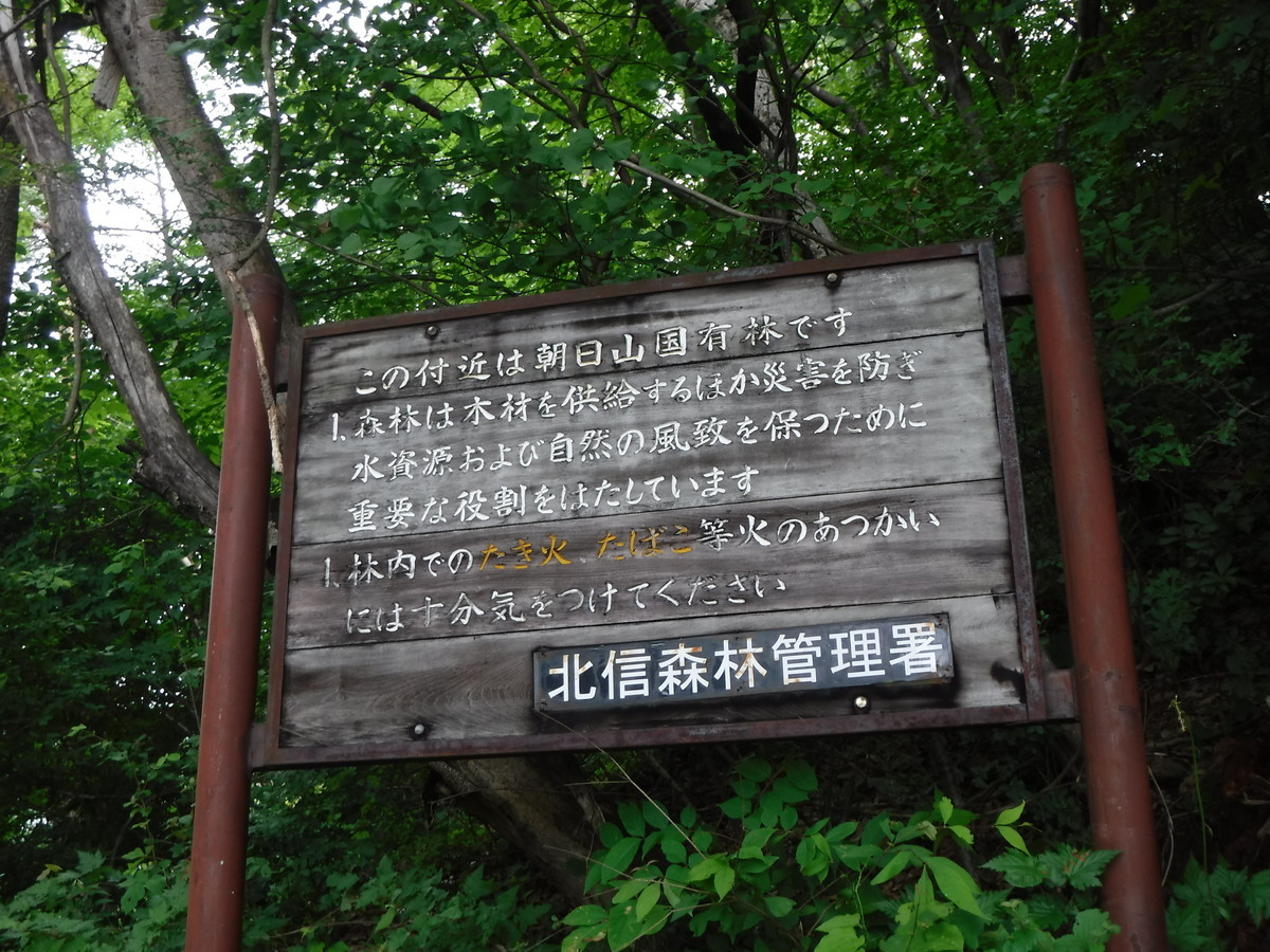 f:id:lupoGTI:20190713140530j:plain