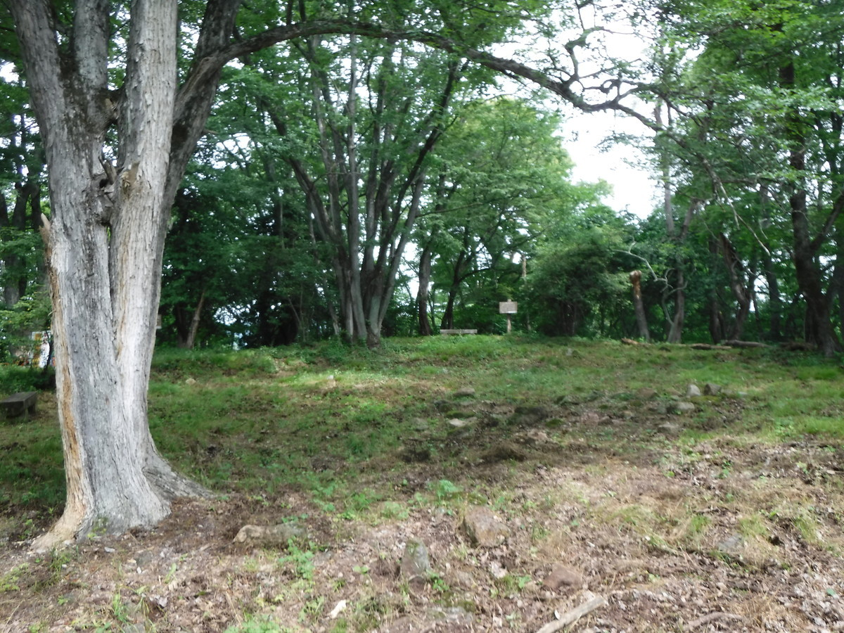 f:id:lupoGTI:20190713140635j:plain