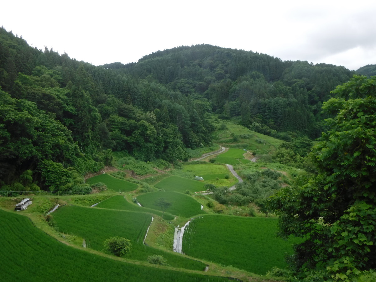 f:id:lupoGTI:20190713140844j:plain