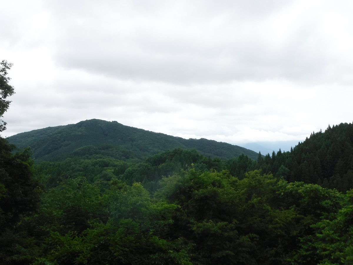 f:id:lupoGTI:20190713140859j:plain