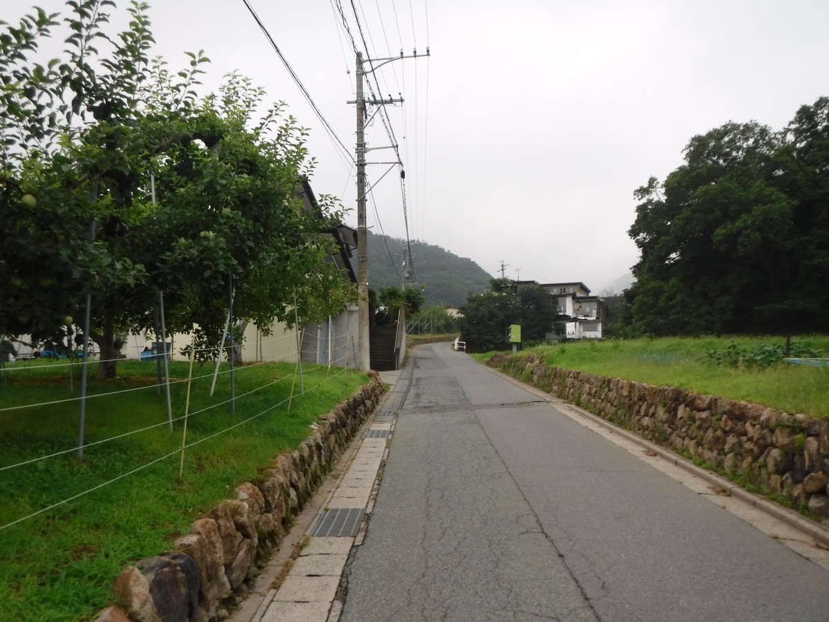 f:id:lupoGTI:20190803101500j:plain