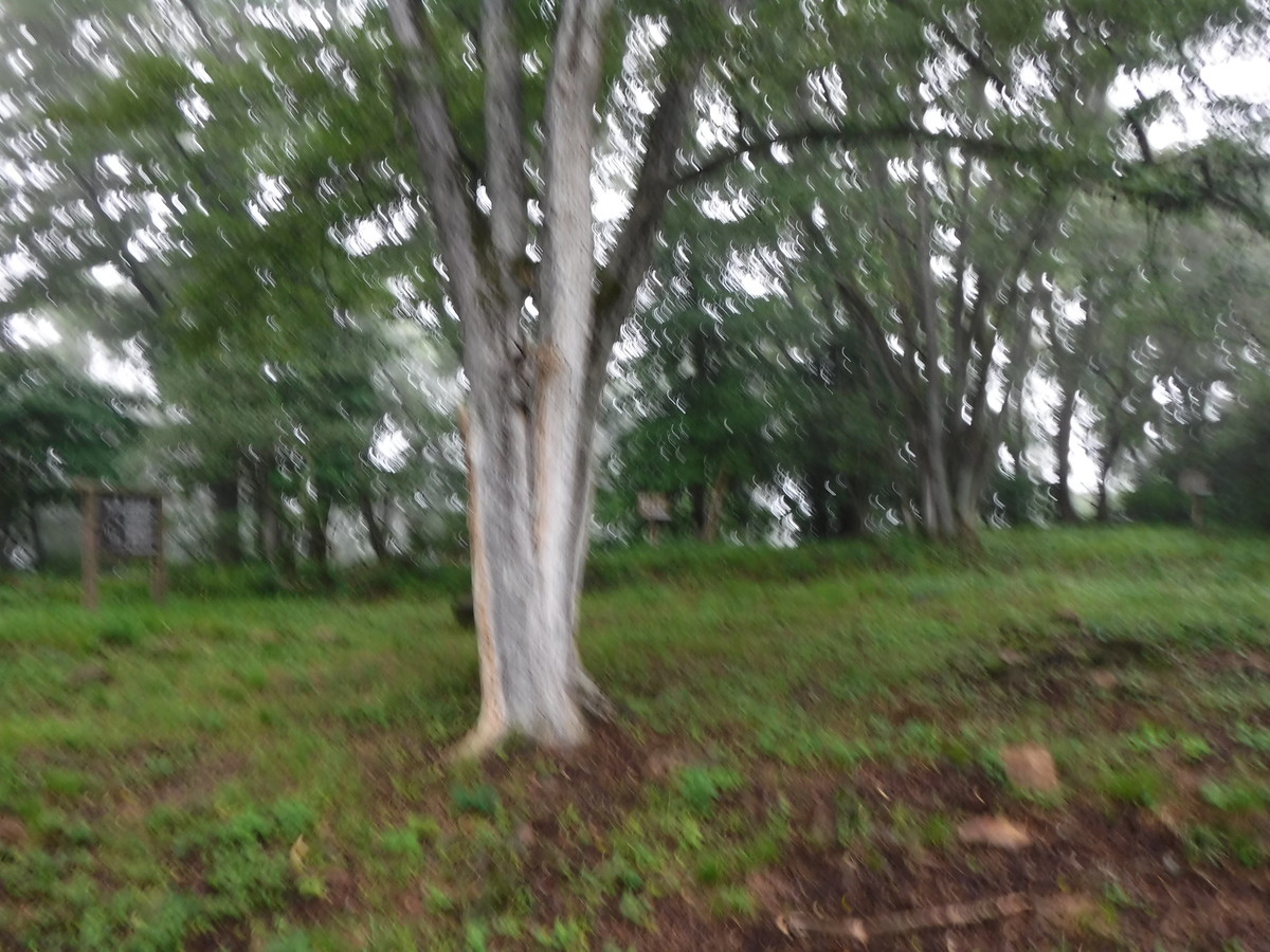 f:id:lupoGTI:20190803101803j:plain