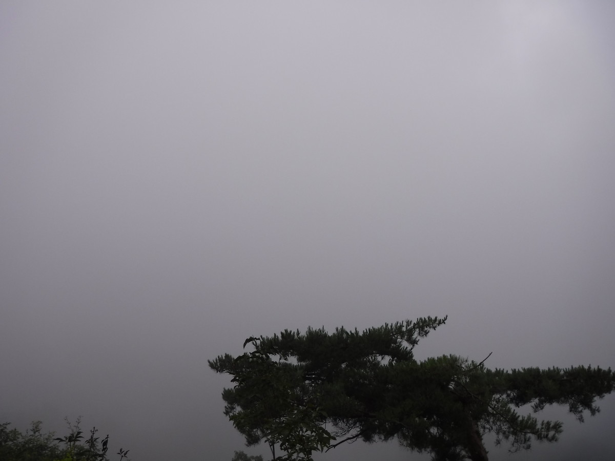 f:id:lupoGTI:20190803101811j:plain