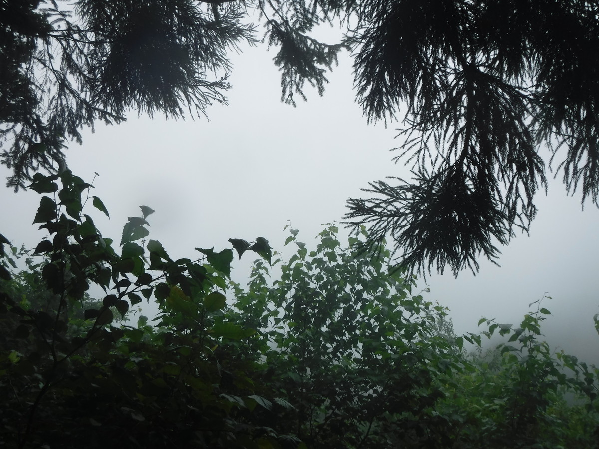 f:id:lupoGTI:20190803102759j:plain