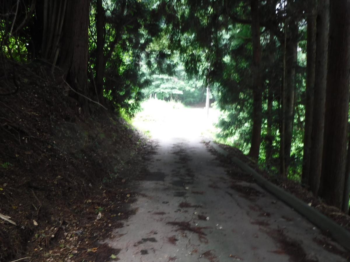 f:id:lupoGTI:20190803102816j:plain