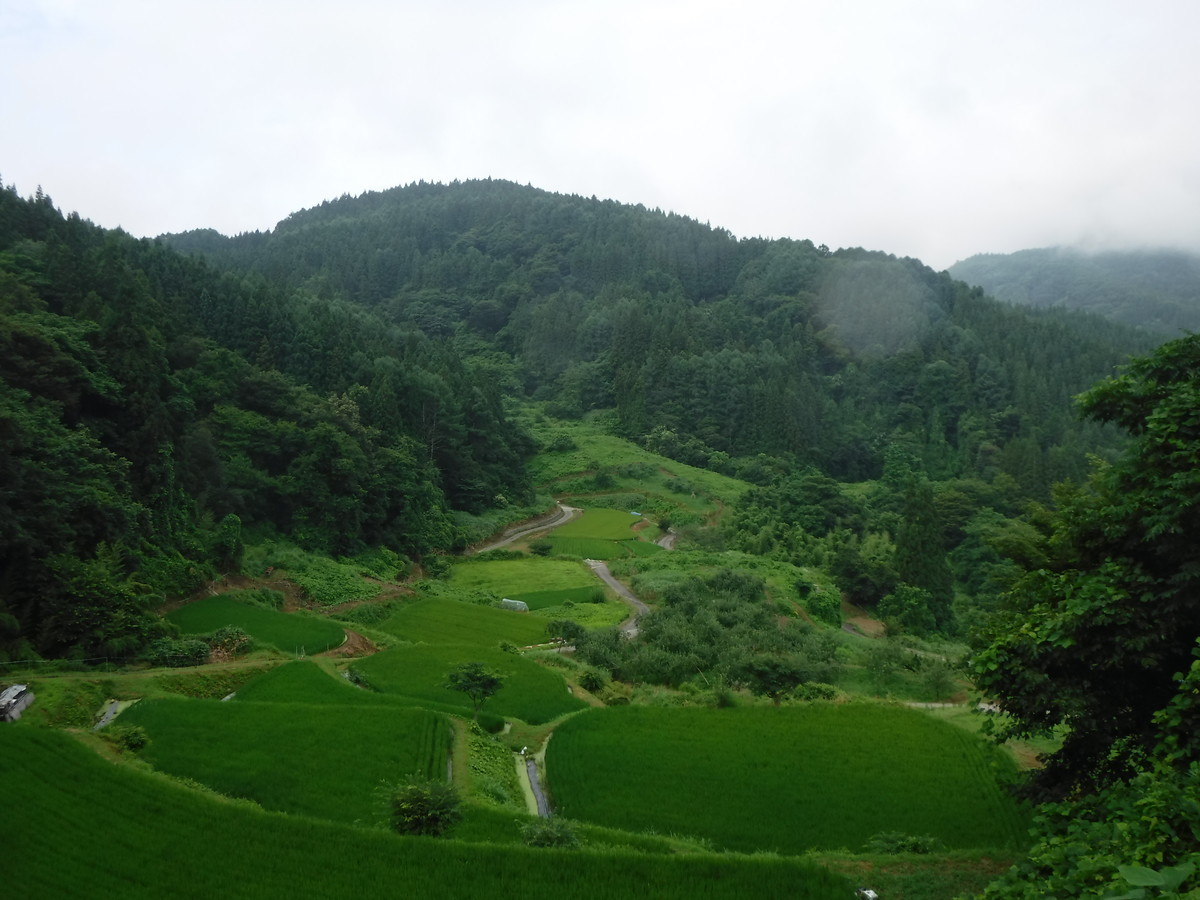 f:id:lupoGTI:20190803102825j:plain