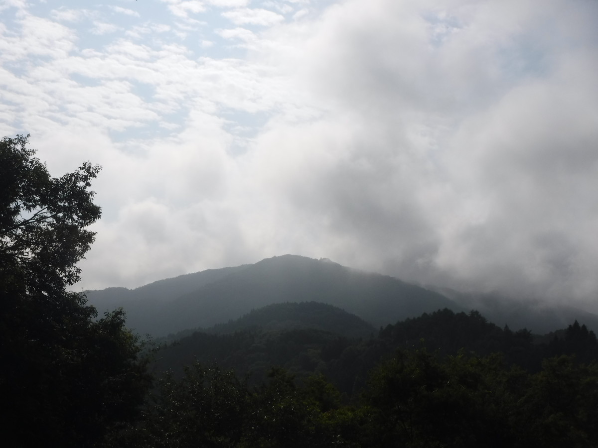 f:id:lupoGTI:20190803102836j:plain