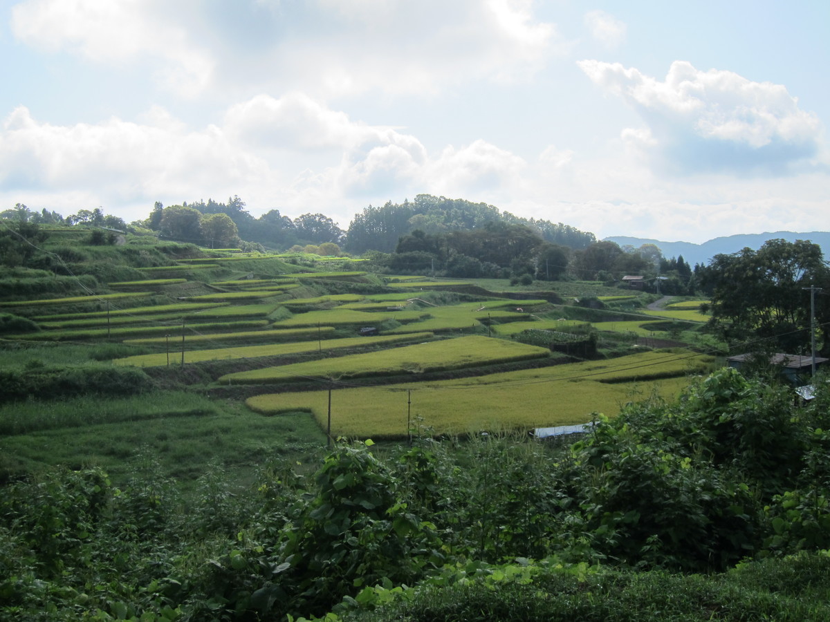 f:id:lupoGTI:20190831152631j:plain