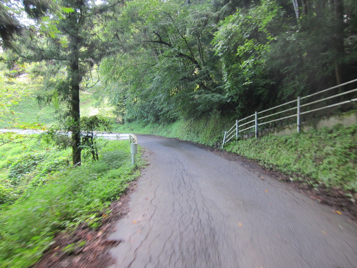 f:id:lupoGTI:20190831152645j:plain