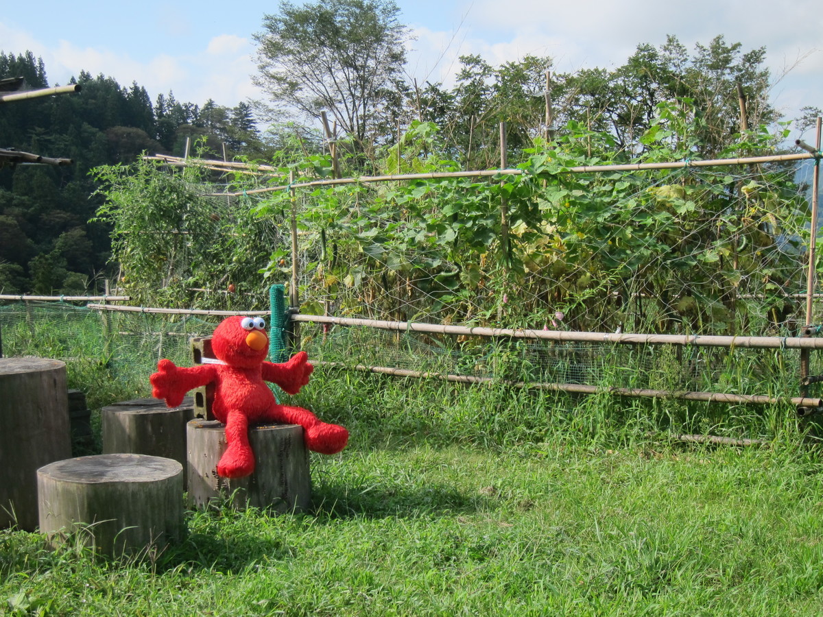 f:id:lupoGTI:20190831152648j:plain