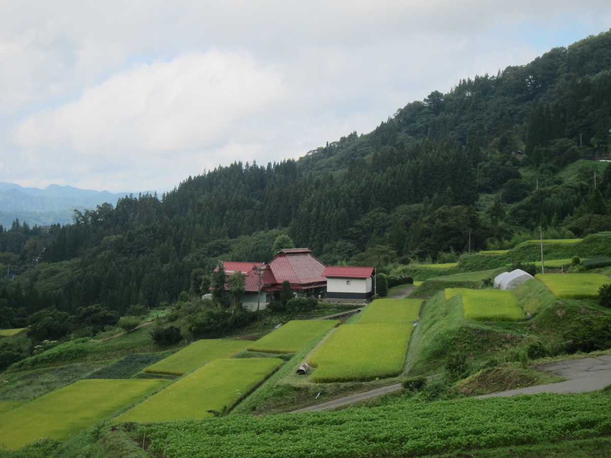 f:id:lupoGTI:20190831152849j:plain