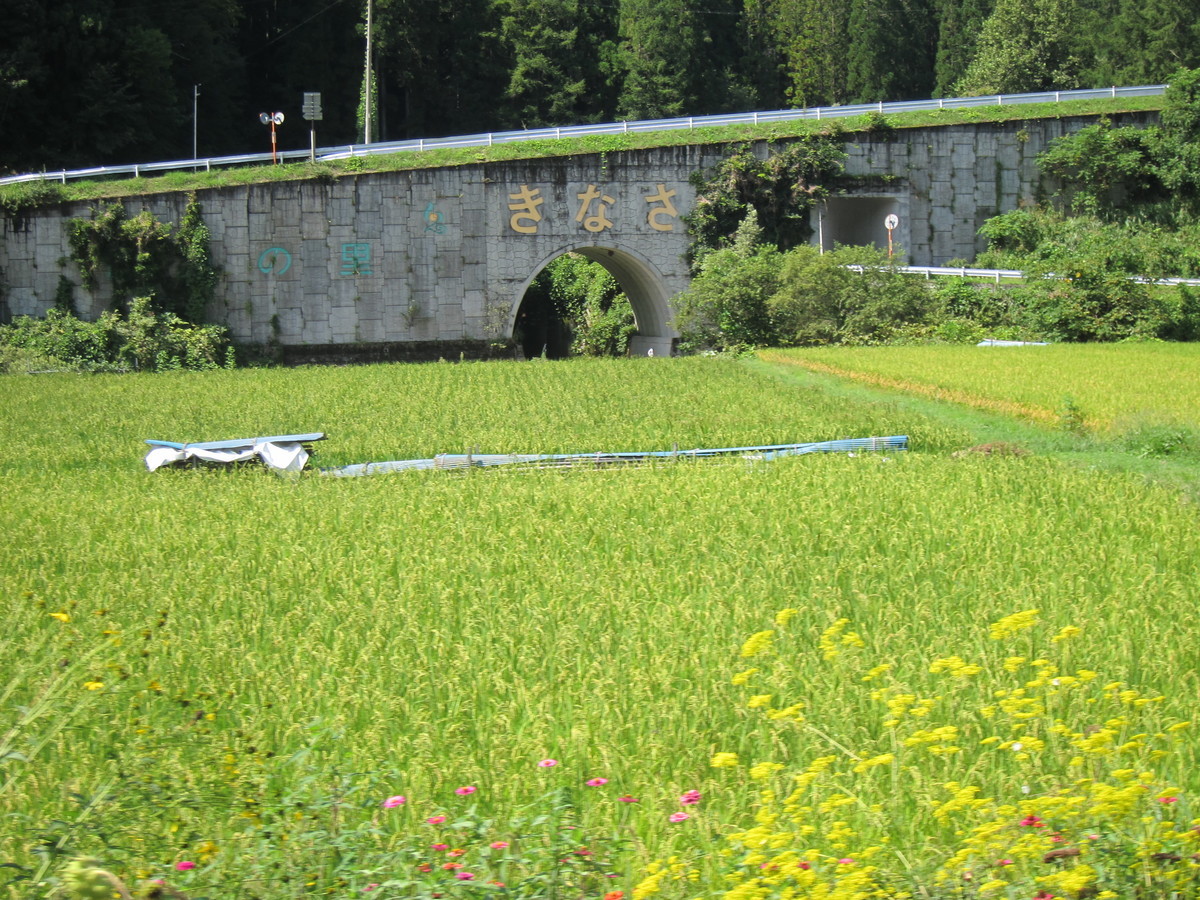 f:id:lupoGTI:20190831152905j:plain