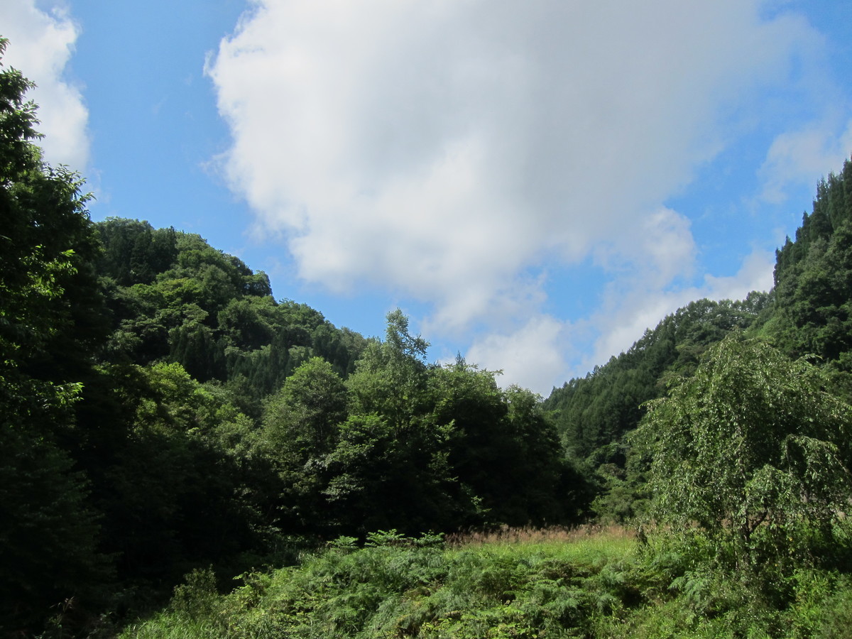 f:id:lupoGTI:20190831153014j:plain