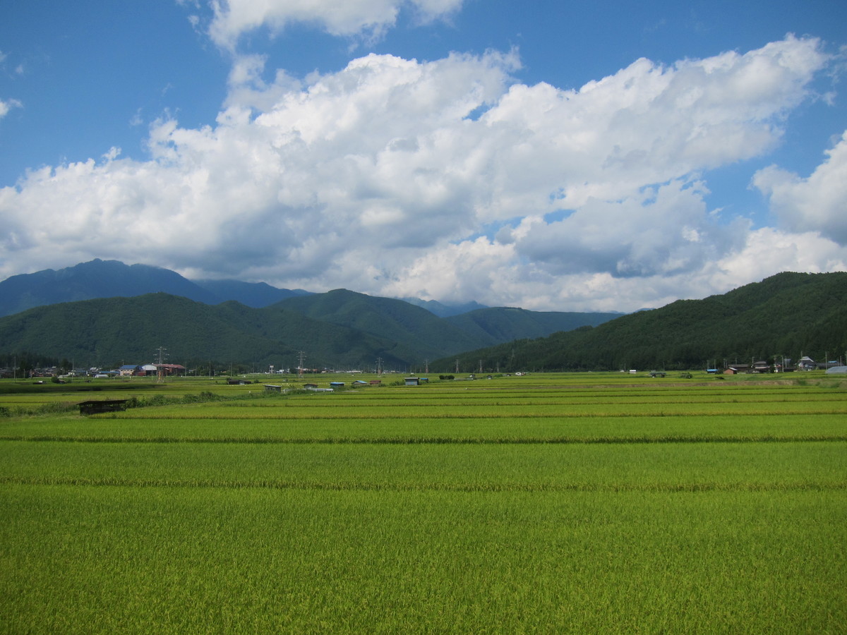 f:id:lupoGTI:20190831153211j:plain