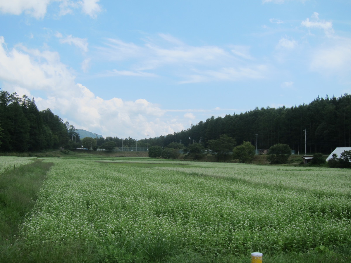 f:id:lupoGTI:20190831153230j:plain