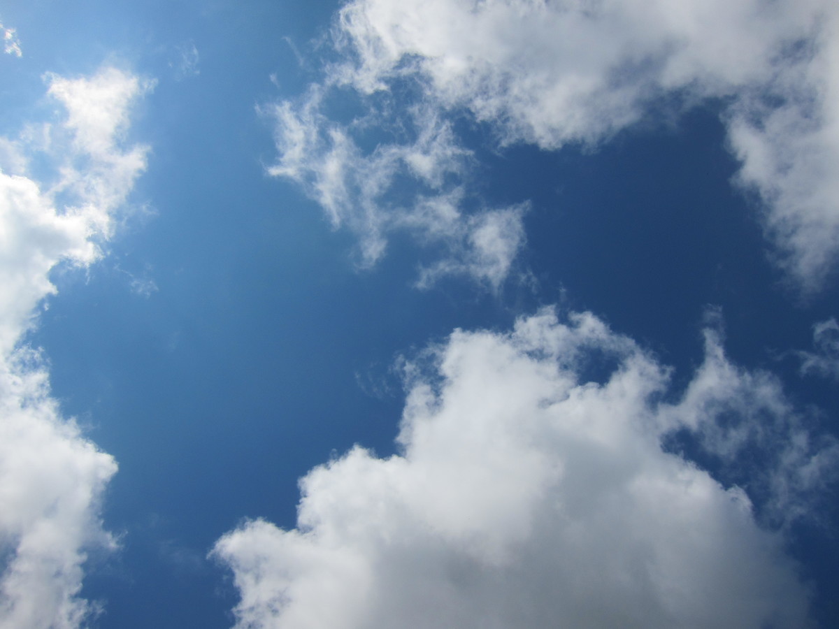 f:id:lupoGTI:20190831155628j:plain