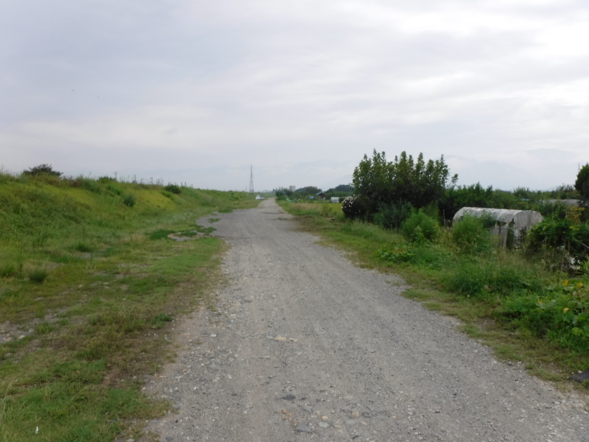 f:id:lupoGTI:20190901174627j:plain