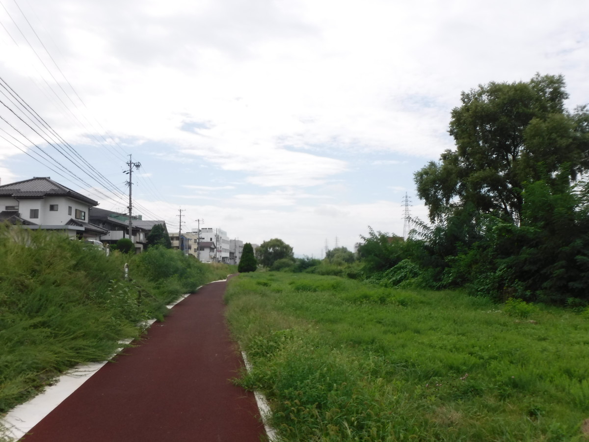 f:id:lupoGTI:20190901175206j:plain