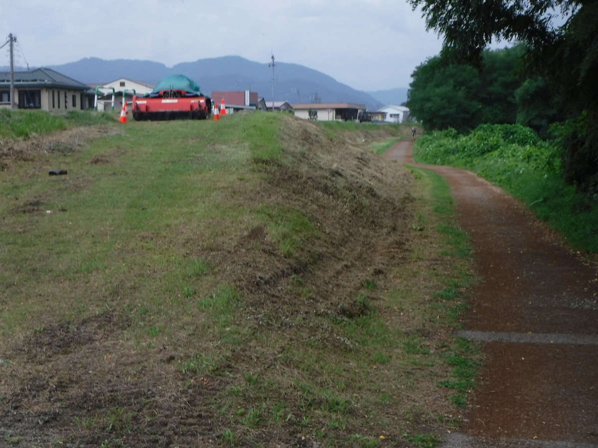 f:id:lupoGTI:20190901175231j:plain