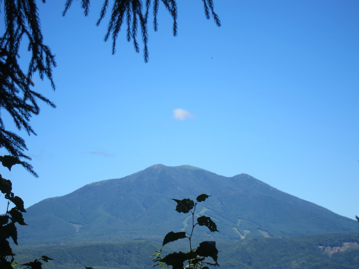 f:id:lupoGTI:20190908114701j:plain