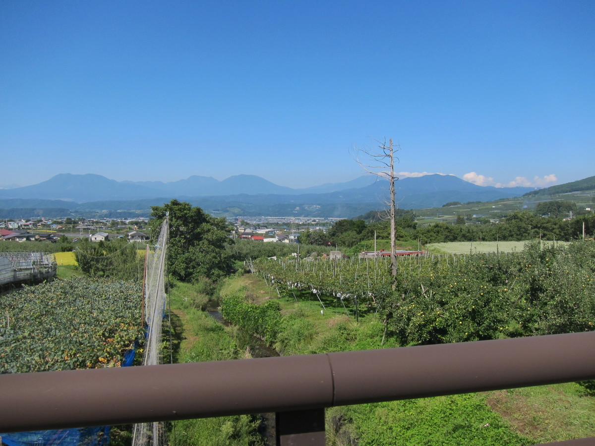 f:id:lupoGTI:20190914162825j:plain