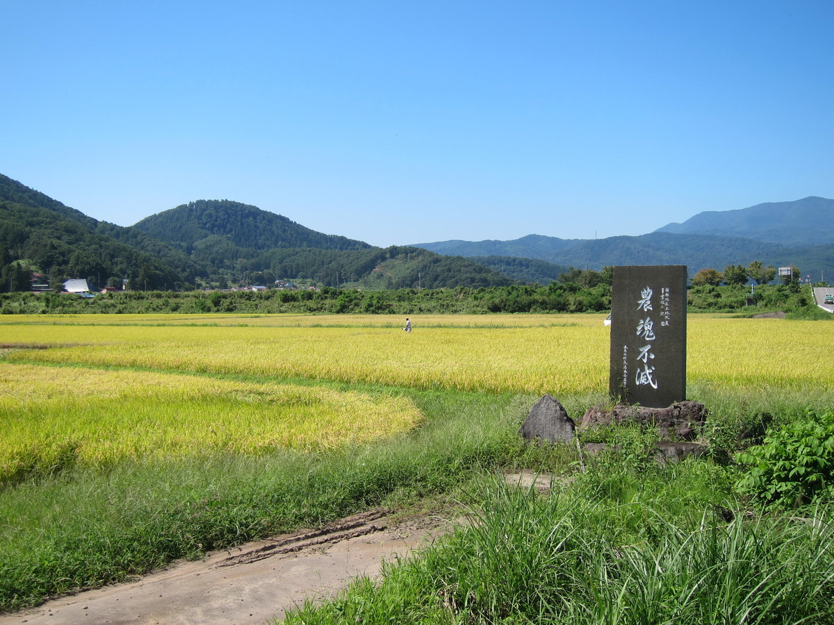 f:id:lupoGTI:20190914162831j:plain