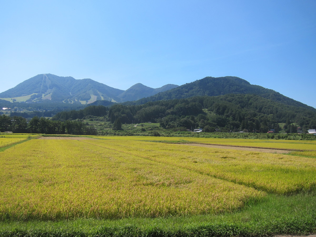 f:id:lupoGTI:20190914162840j:plain