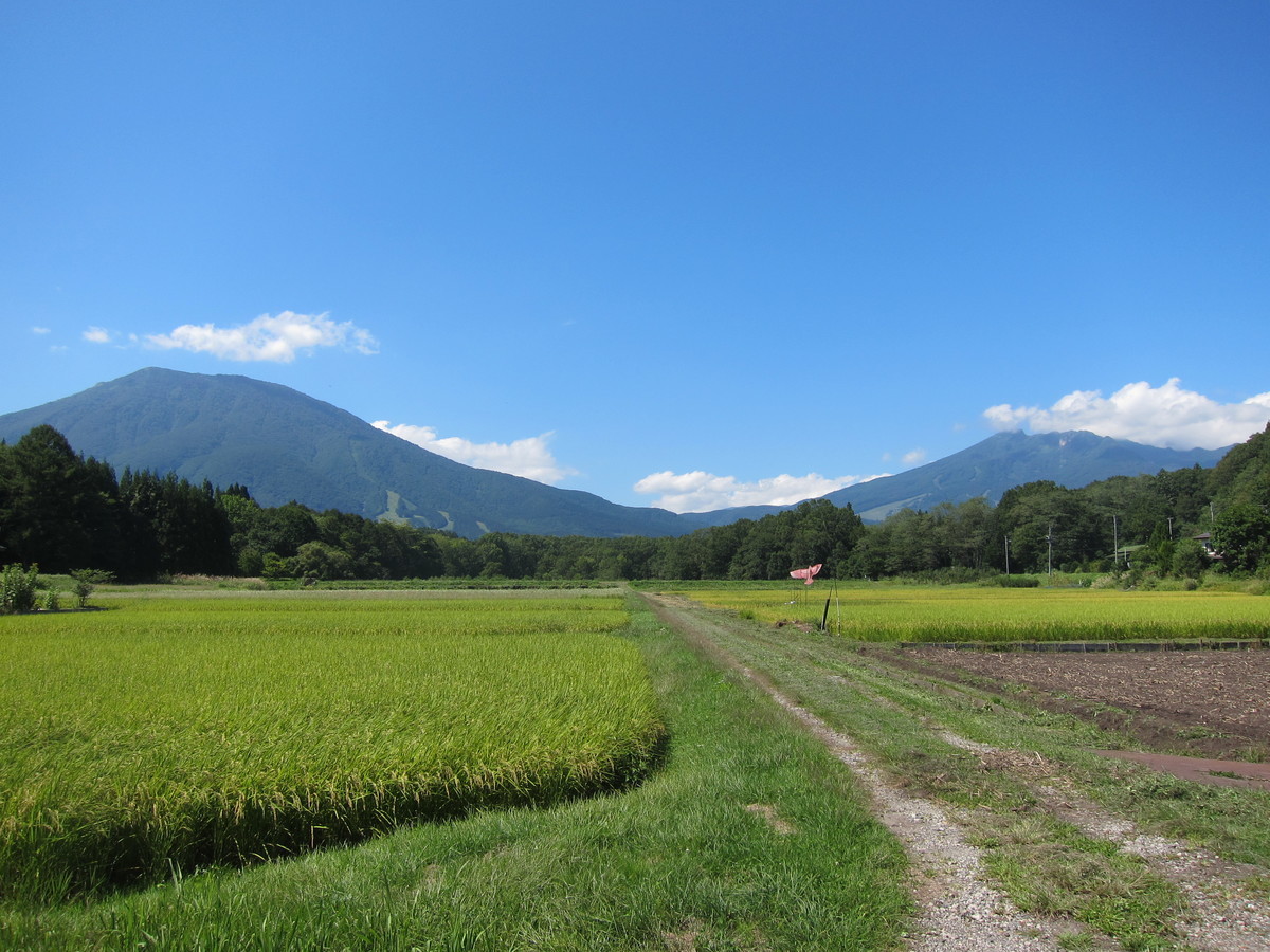 f:id:lupoGTI:20190914164208j:plain