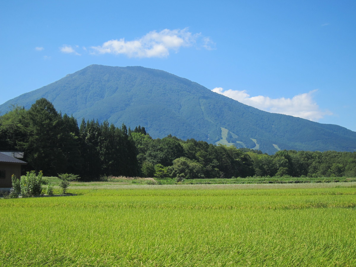 f:id:lupoGTI:20190914164216j:plain