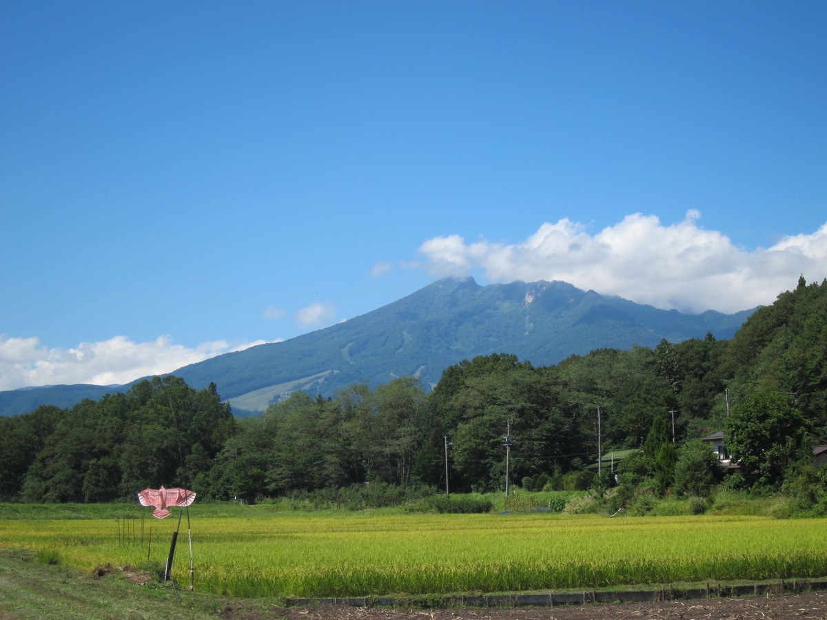 f:id:lupoGTI:20190914164221j:plain