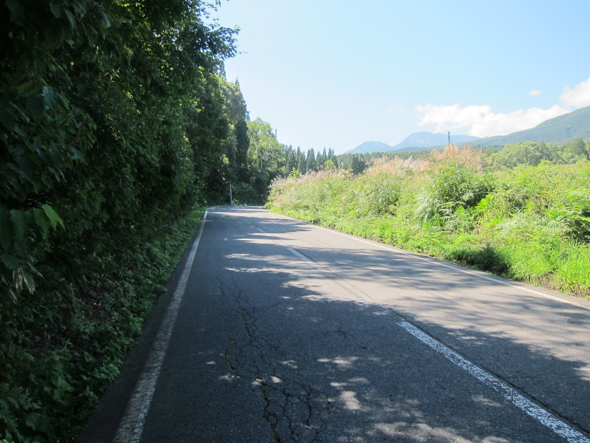 f:id:lupoGTI:20190914165035j:plain