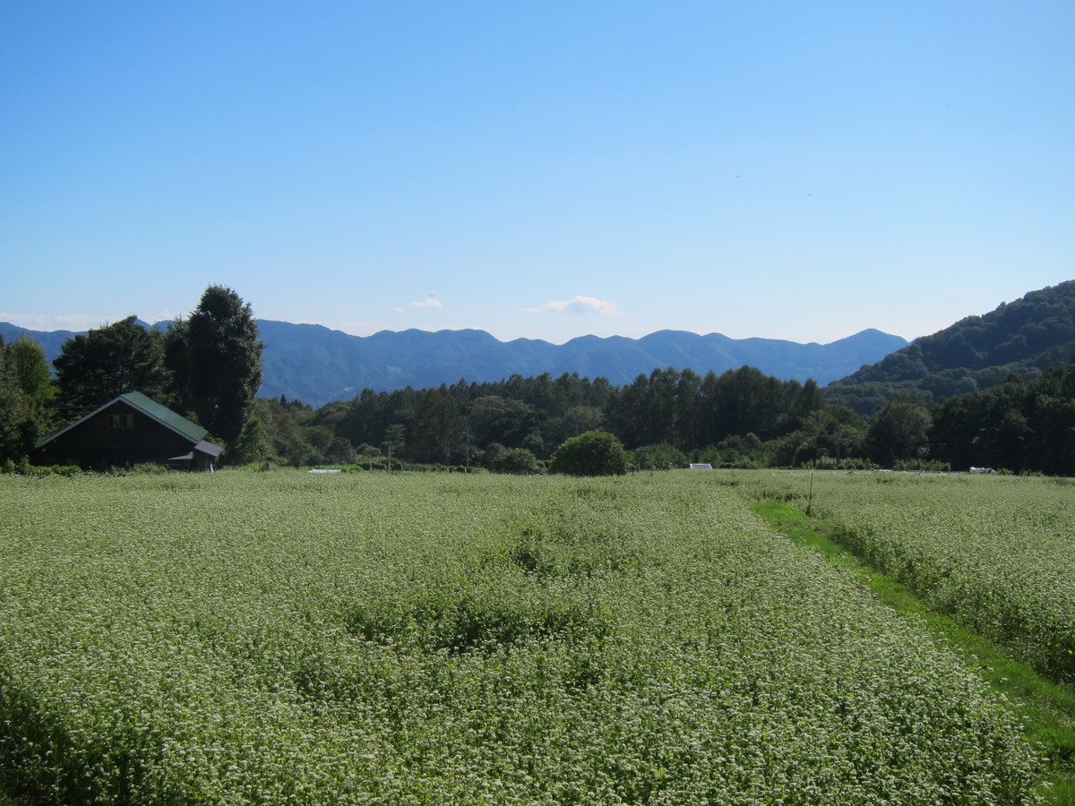 f:id:lupoGTI:20190914165242j:plain